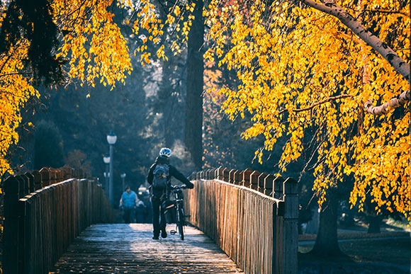 person walking bike across footbridge in fall