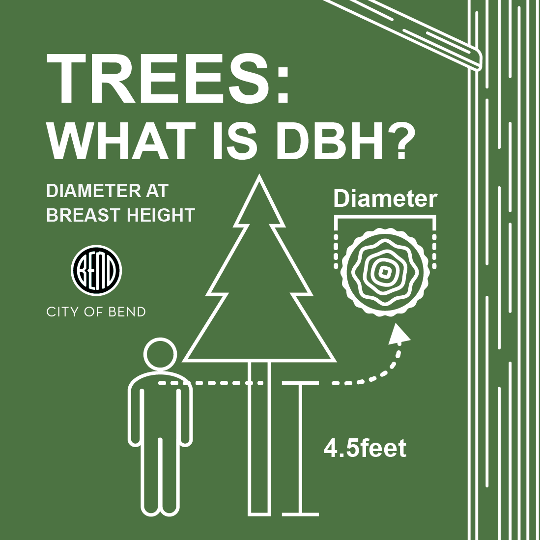 graphic showing the diameter of a tree and defining "diameter at breast height" as 4.5 feet off the ground