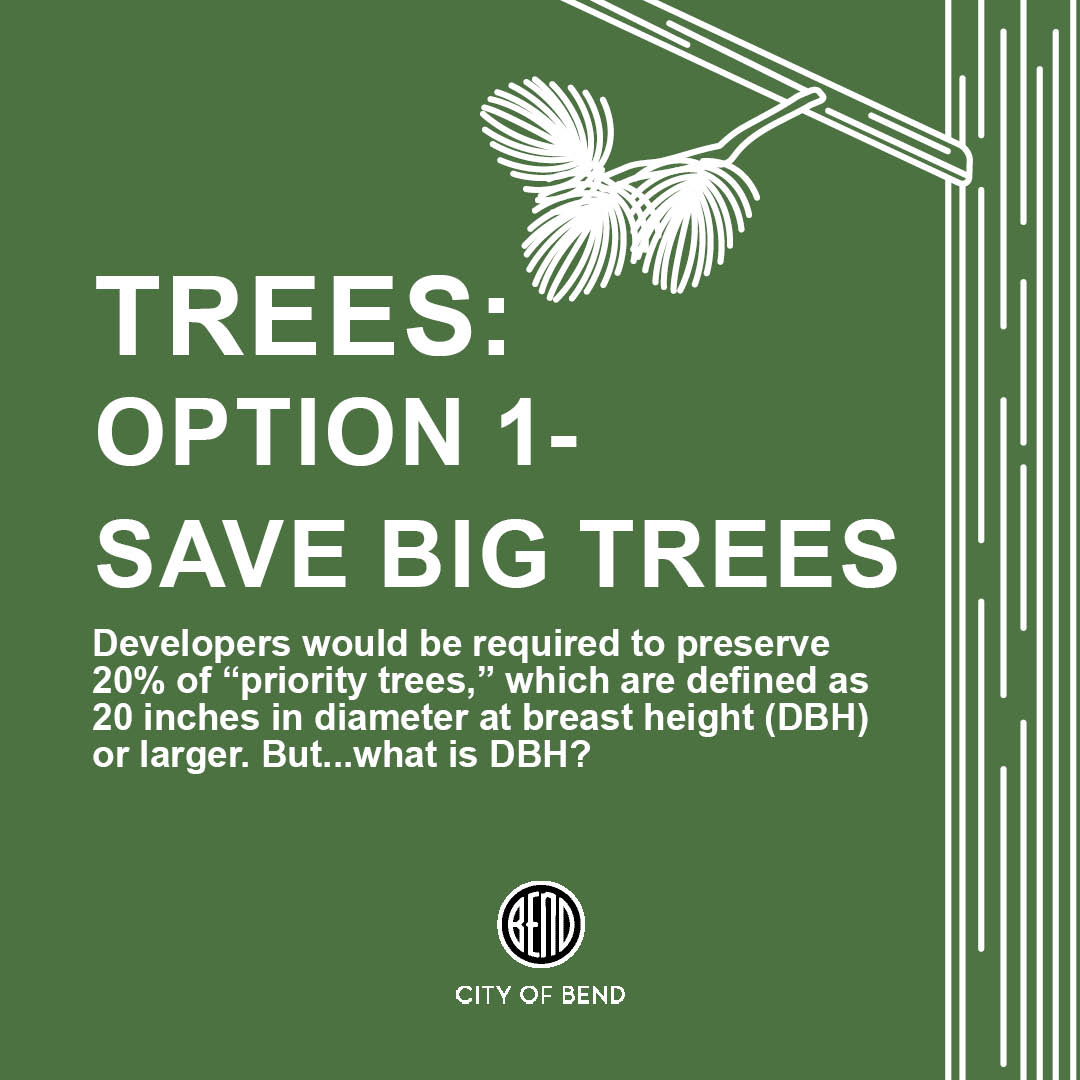 Graphic that says Option 1 save big trees