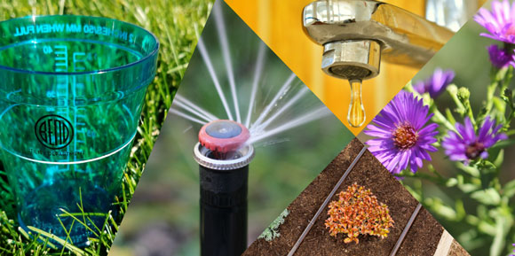 Images of water sprinklers and garden flowers.