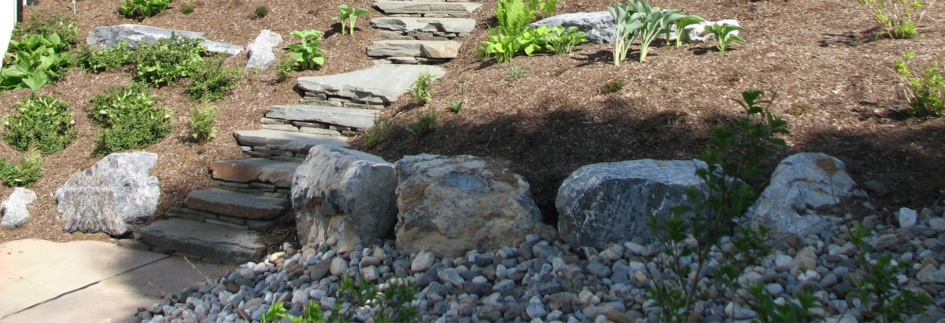 Xeriscaped small hill with bark dust and low-water vegetation. 