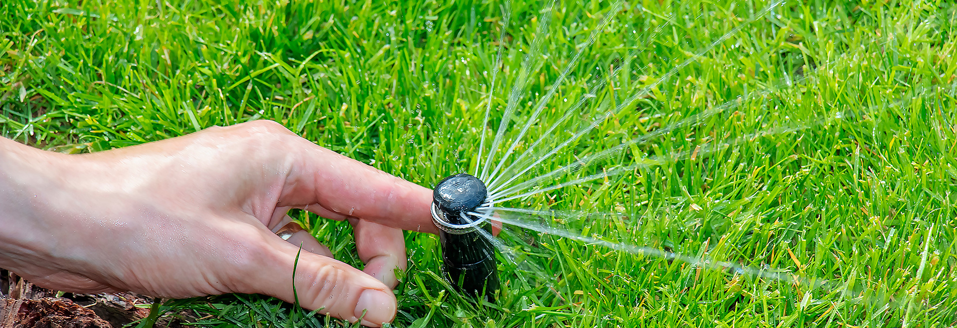 Hand adjusting a rotor sprinkler that is spraying water on green grass.