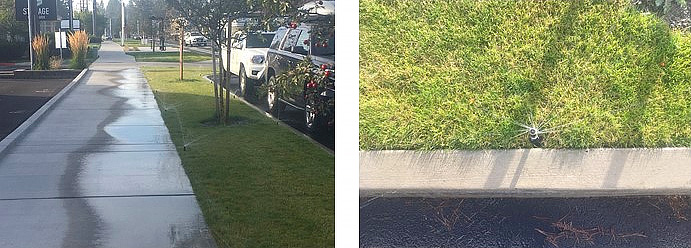 Sidewalk wet from overspray of sprinklers.