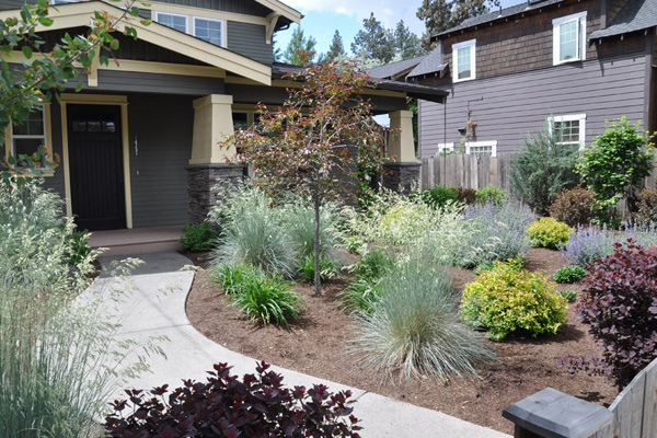 Xeriscaped yard in front of a house.