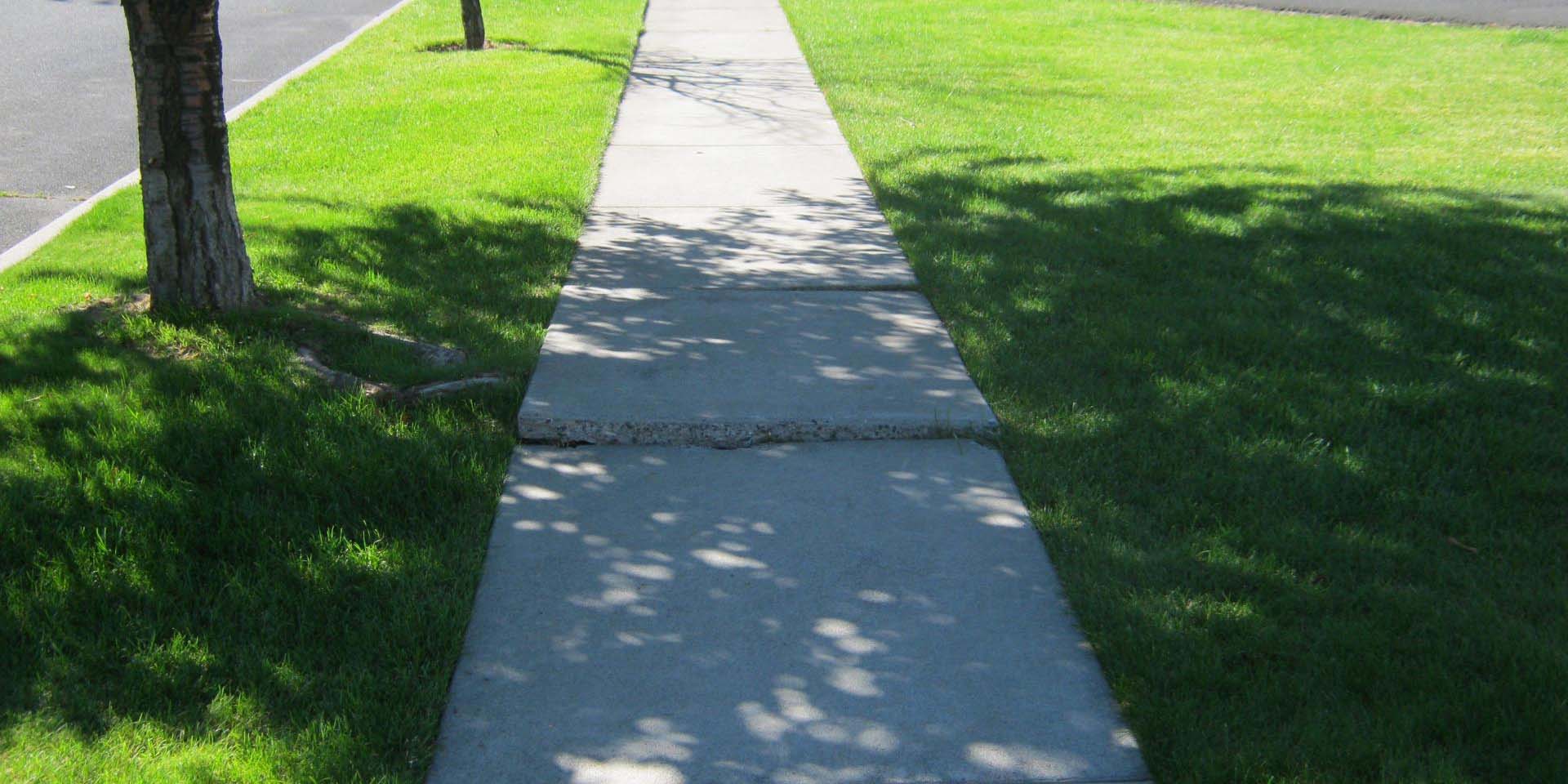 Tree root damaged (lifted) sidewalk.